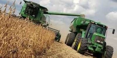 La Bolsa de Cereales señaló que caería un 16% la producción de soja en Entre Ríos.