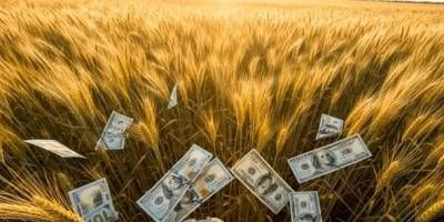 Baja de las retenciones: tras el anuncio, el campo espera más siembra y alivio fiscal