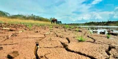 ¡Viene un El Niño poderoso! Investigadores dicen que el fenómeno podría añadir presión a un sistema mundial precario.