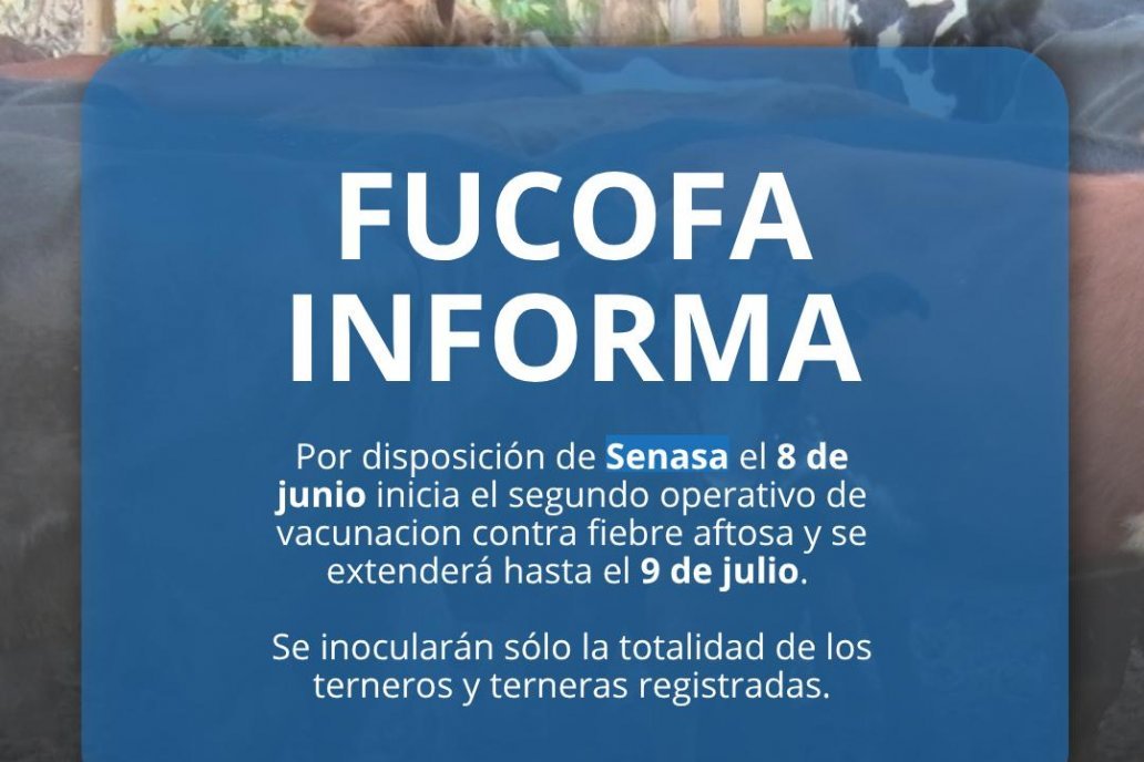 El 8 de junio inicia la vacunación contra la aftosa.