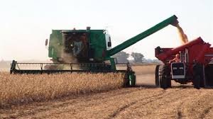 Caería 22% la producción de soja entrerriana, según un informe de la Bolsa de Cereales.