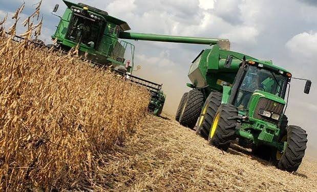 La cosecha de soja alcanzó 50,1 millones de toneladas y superó el promedio de los últimos años