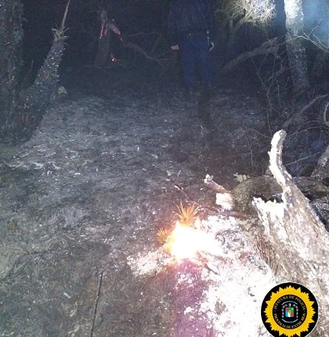 Se incendiaron varias hectáreas de monte en Mojones Sud Primera.
