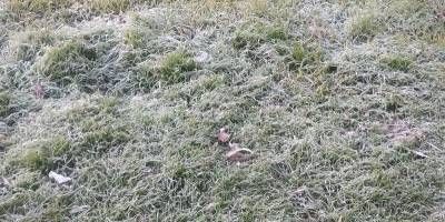 Así amaneció San Salvador este viernes.