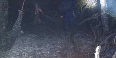 Se incendiaron varias hectáreas de monte en Mojones Sud Primera.