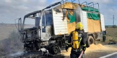 Un camión se incendio en autovía 14.