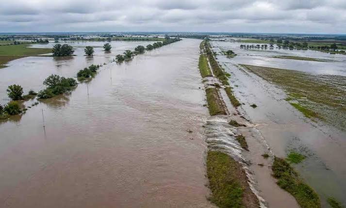El Niño pone en alerta al campo: cuáles son los cultivos que más pueden sufrir por el agua.
