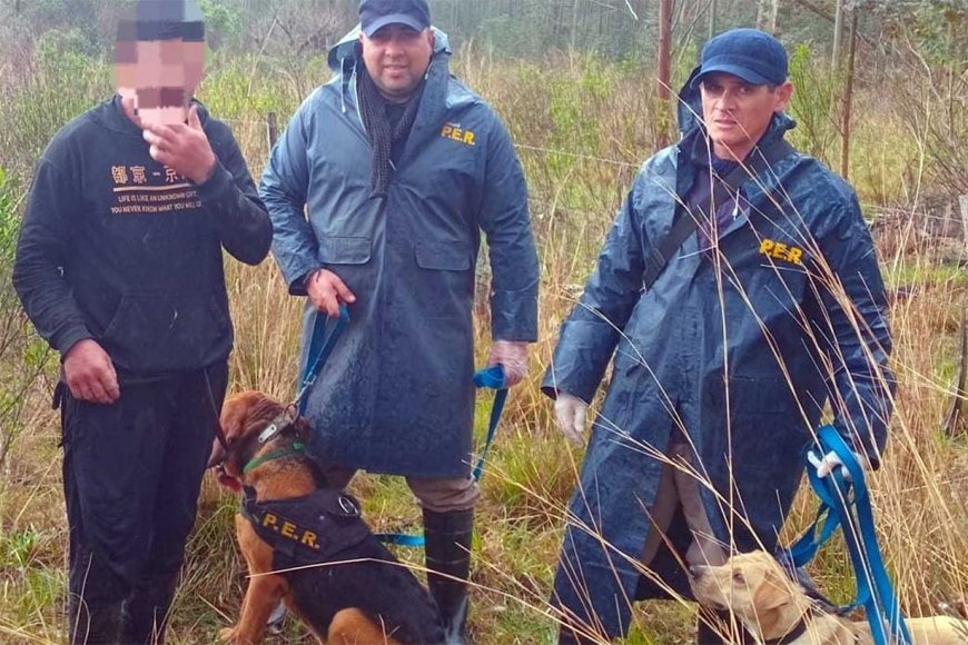 Canes de la policía hallaron con vida a un trabajador forestal que había desaparecido