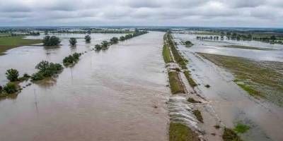 El Niño pone en alerta al campo: cuáles son los cultivos que más pueden sufrir por el agua.