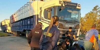Una chica de 15 años fue embestida por un camión.