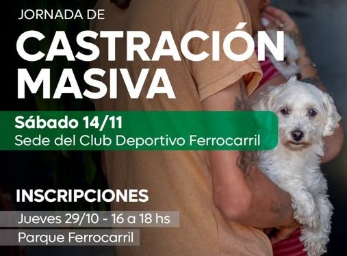 El municipio organiza una jornada de castración de animales.