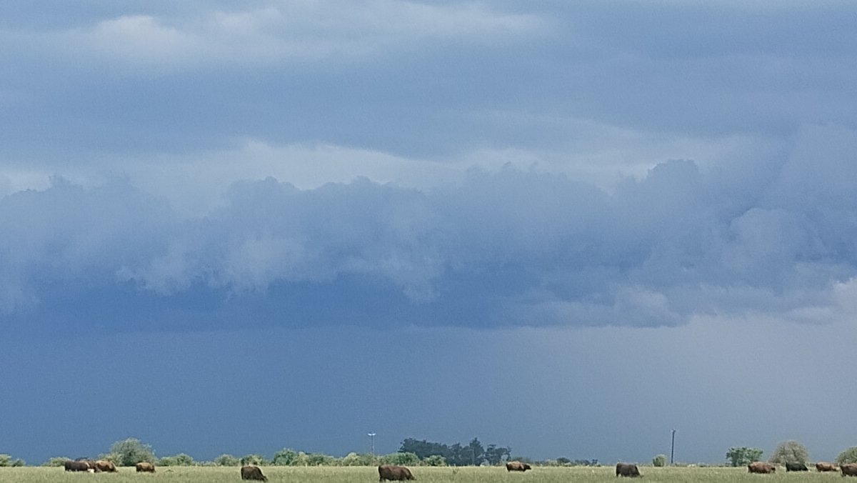 Alerta amarilla para toda la provincia por tormentas fuertes.