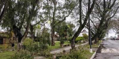 Voladuras de techo, caída de árboles, mampostería y postes de luz dice el primer reporte municipal de la tormenta.