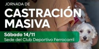 El municipio organiza una jornada de castración de animales.